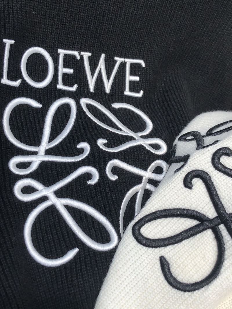 Loewe Sweaters